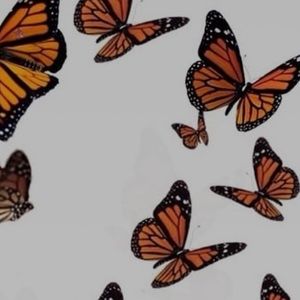 Meet your Posher, Maizey